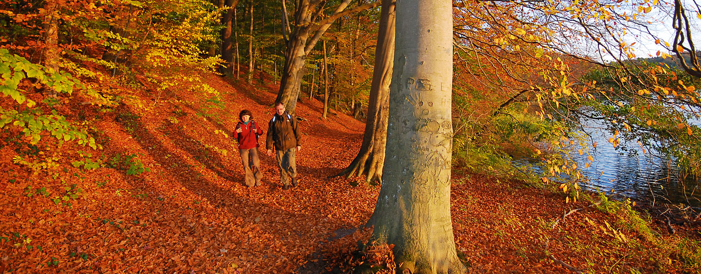 Wandern am Plauer See, Mecklenburgische Seenplatte