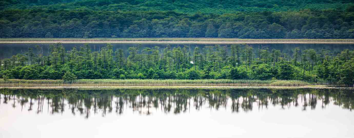 Naturbeobachtung in der Mecklenburgischen Seenplatte