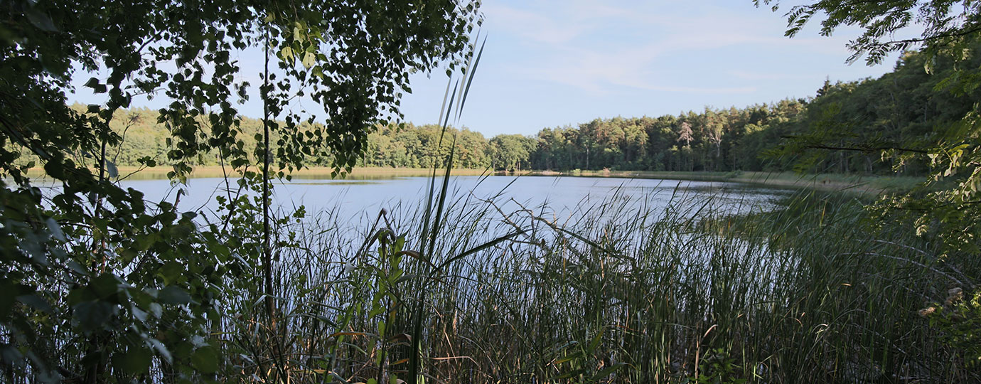 Bergsee