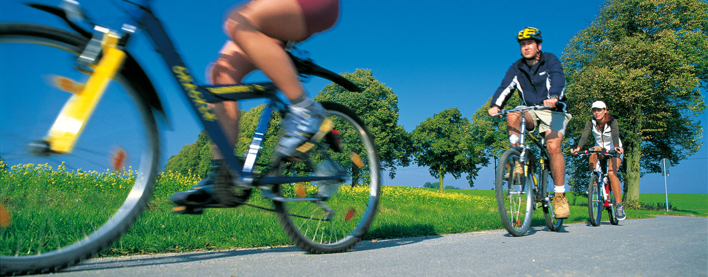 Radfahrer radeln an einem Rapsfeld vorbei, Mecklenburgische Seenplatte