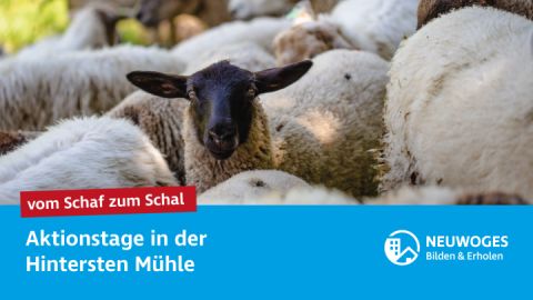 neuw-konzern_externe-komm_tierheim_aktionstage-24-vom-schaf-zum-schal