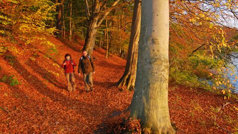 Wandern am Plauer See, Mecklenburgische Seenplatte