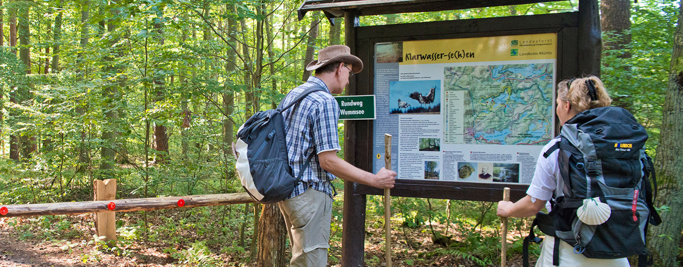 Wanderer an einer Infotafel im Müritz-Nationalpark